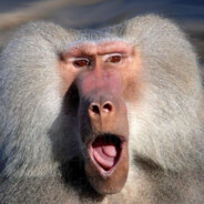 Autistic  baboon