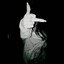 nate)