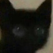 F1n
