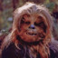 Baldchewbacca