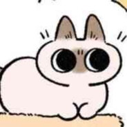 黑心市民飞飞飞