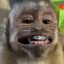 KMacaca