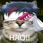 Qin Shi Meow