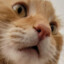 Cash_