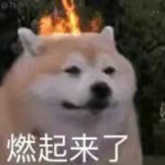 一哭二闹三上悠亚