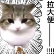 小猫大吼导致龙卷风