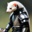 Furious Ferret