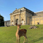 鄂尔多斯最后的深情