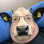 kovak