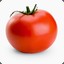 -Tomato