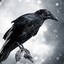 Raven_Dreams