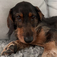 Fjanton - steam id 76561198290911648