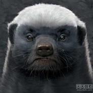 我愚蠢的队友啊