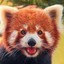 Smlog the Red Panda