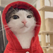 Snakeicecat