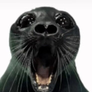 Seal-wad