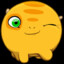 windii