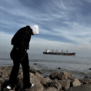 打工挣钱养小猫