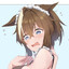 ADMIRAL CCCH