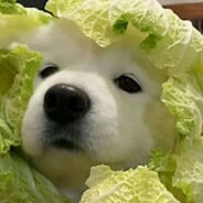 新机此哇一此摸你肚子