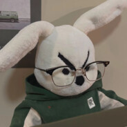 我在等风 也在等你