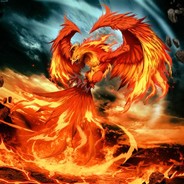 Dreamer Phoenix