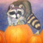 SpookyRaccoon