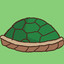 Turtle_Shell