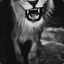 R.#Lion