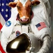 space cows