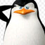 Skipper