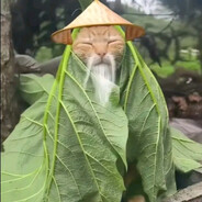 𝔄𝔲𝔱𝔬
