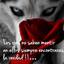 Mathews_X