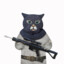 Champion Cat Gunner