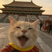 额滴 额滴 都是额滴