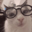 MIAU MIAU