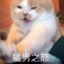 南瓜呱呱呱