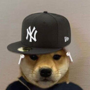 Cruzie