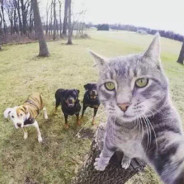 某人不下饭我不讲是谁