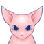 MonekoShrimp