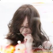 蓝胖爸爸抓小鸡