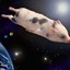 SpacePig