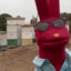 BODOQ