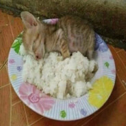 кышмышь