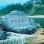 白给阿成