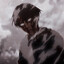 adema-