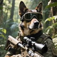 Sniper-dog