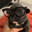 ProfessorPibble avatar
