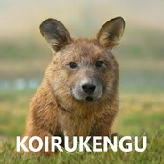 KOIRUKENGU
