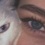 翻斗花园牛爷爷